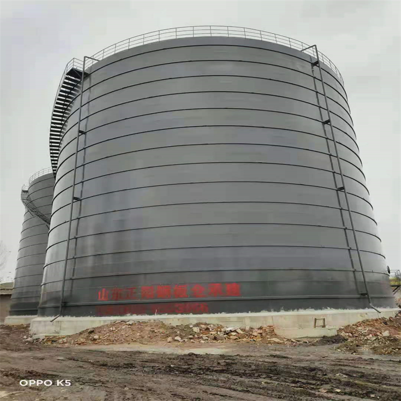 大安镇3万吨大型钢板库